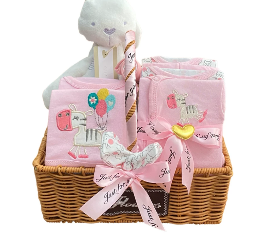 Newborn Baby Clothing Set Gift Box (One Set)